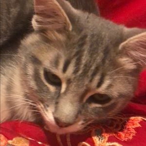 Meet your Posher, Kun